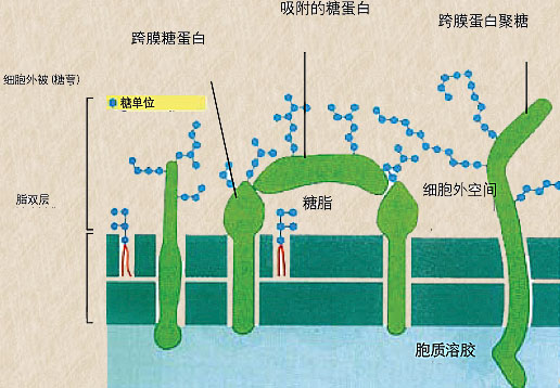 圖片關鍵詞